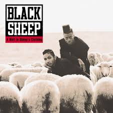 Black Sheep